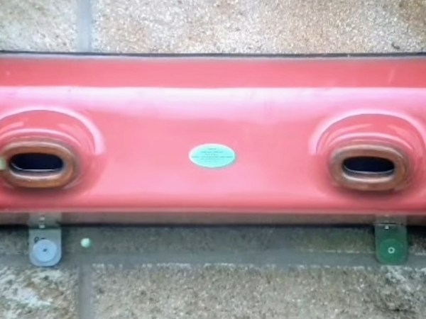 Christmas came early for swifts at King Ecgbert&nbsp;School!