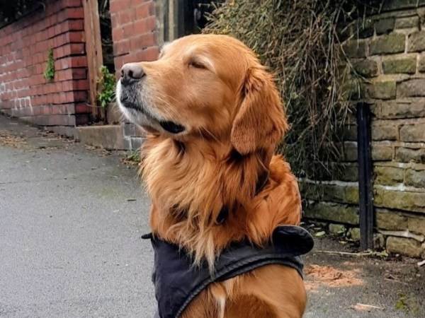 Nether Edge Celebrates a New ‘Swift&nbsp;Street’!